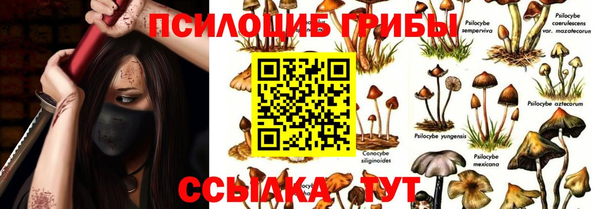 Псилоцибиновые грибы прущие грибы  Псилоцибиновые грибы Psilocybine cubensis  Вход с VPN  Павлово 